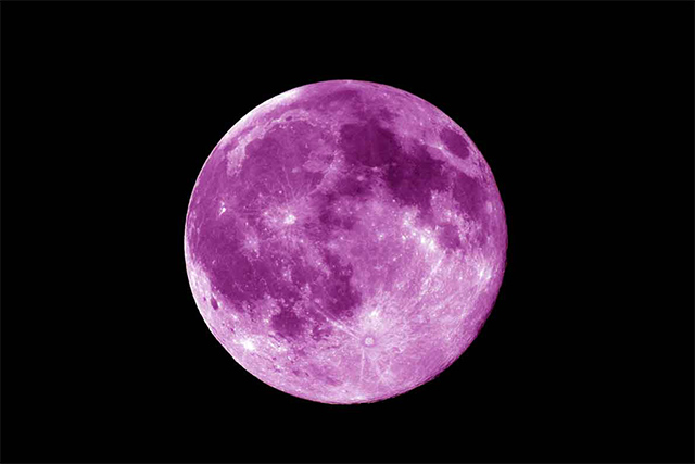 Tôi đã gặp mặt trăng màu tím trong giấc mơ của tôi