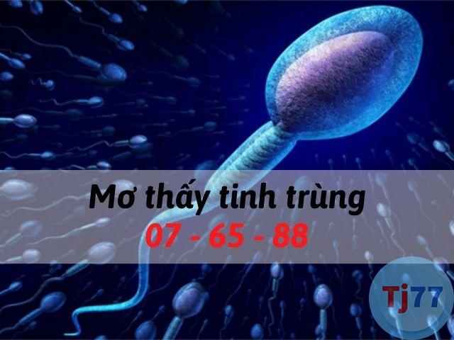 Nằm mơ thấy tinh trùng