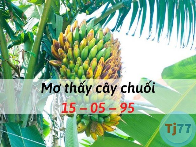 Nằm mơ thấy cây chuối