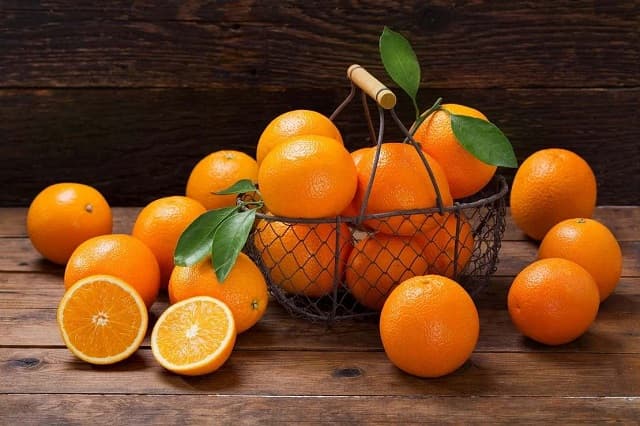 Giấc mơ của quả cam 