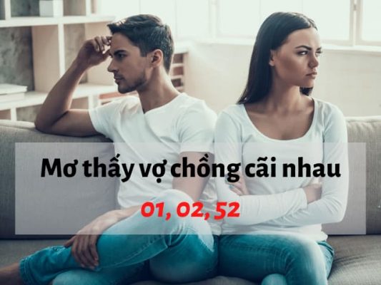 giấc mơ thấy vợ chồng cãi nhau