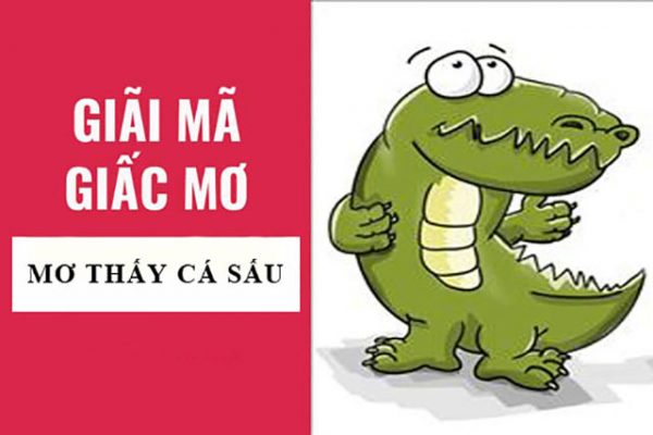 giấc mơ cá sấu