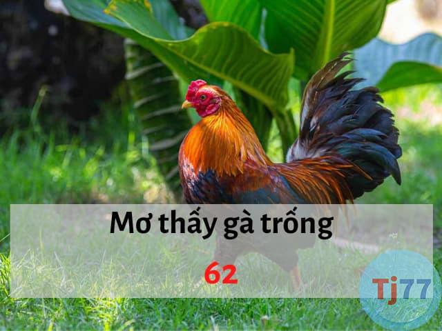 Nằm mơ thấy gà trống đánh con gì
