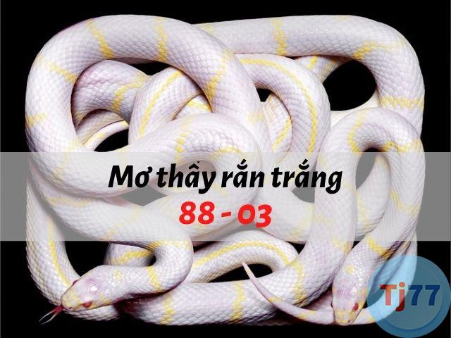 nằm mơ thấy bạch xà