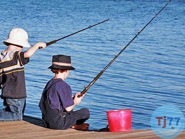 nằm mơ thấy câu cá đánh số gì