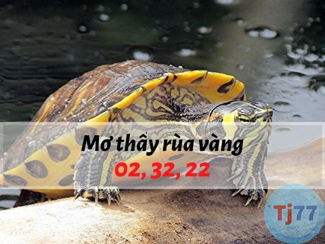 Nằm mơ thấy rùa vàng đánh con gì - TJ77 Net