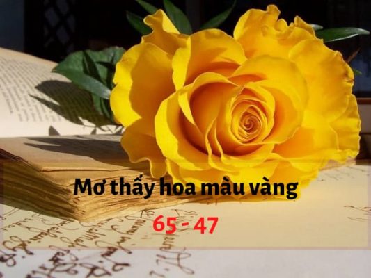 giấc mơ thấy hoa màu vàng