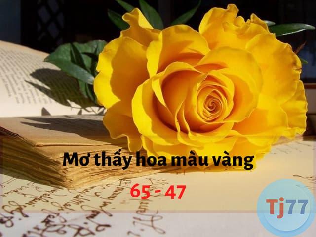 giấc mơ thấy hoa màu vàng