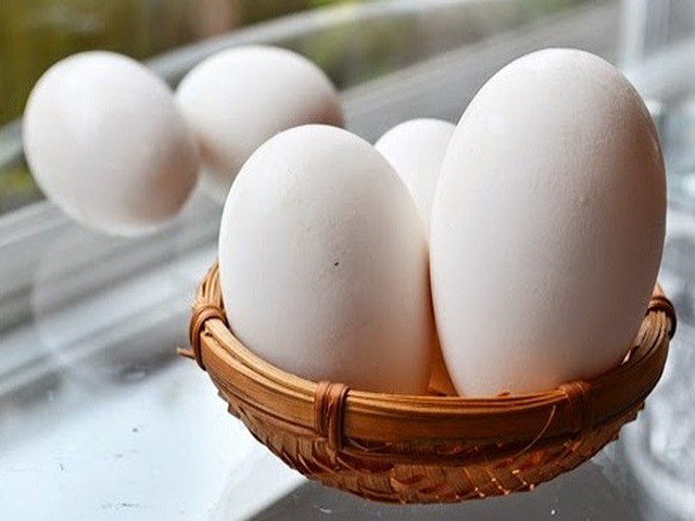 Trứng ngỗng từng là nỗi ám ảnh của nhiều học sinh
