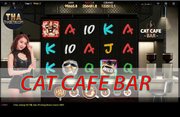 Cat Cafe Bar - game 3d tha